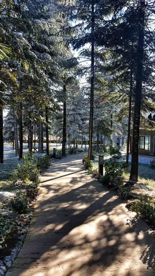 Bolu Koru Hotels Spa & Convention يولجاتي المظهر الخارجي الصورة
